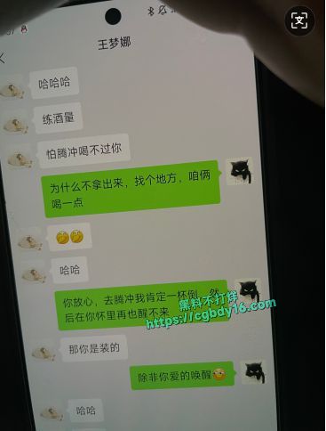 区财政科员赵琳爬上财政局副科长王梦娜的床2