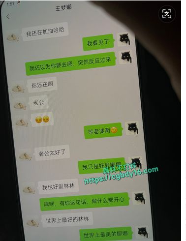 区财政科员赵琳爬上财政局副科长王梦娜的床11