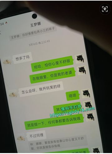 区财政科员赵琳爬上财政局副科长王梦娜的床12