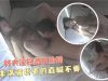 d6b84ca3d245666a83bcdf37aa360de7